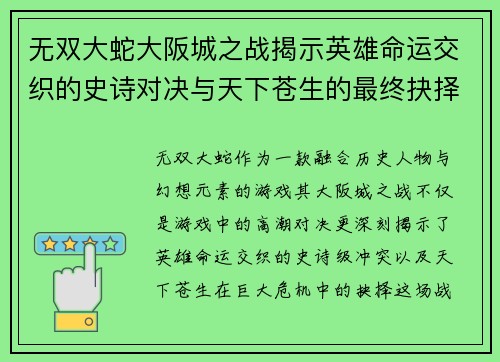 无双大蛇大阪城之战揭示英雄命运交织的史诗对决与天下苍生的最终抉择